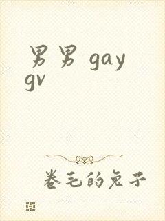 男男 gay gv