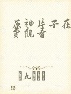 原神片子在线免费观看