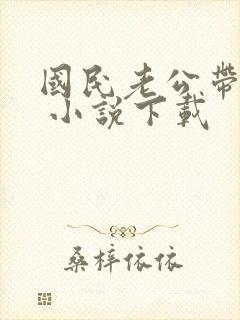 国民老公带回家 小说下载