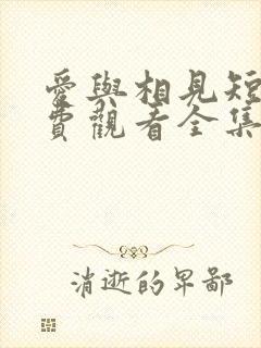 爱与相见短剧免费观看全集最新章节封面