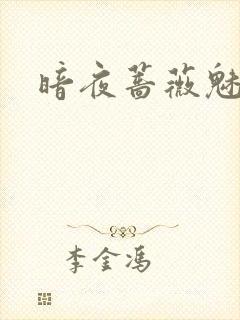 暗夜蔷薇魅封面