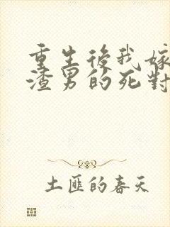 重生后我嫁给了渣男的死对头短剧