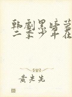 韩剧黑暗荣耀第二季少年在线观看免费