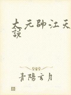 大元帅江天的小说封面