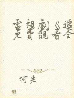 电视剧《追球》免费观看全集