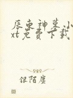 辰东神墓小说txt免费下载