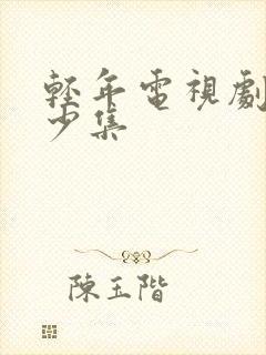 轻年电视剧共多少集