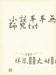 小说平平无奇大师兄txt