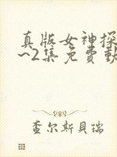 真版女神探侦1~2集免费动漫在线观看封面