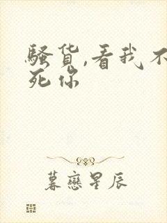 骚货,看我不操死你