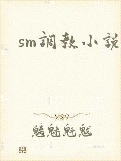 sm调教小说.