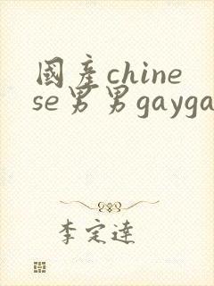国产chinese男男gaygay 网站封面