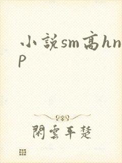 小说sm高hnp