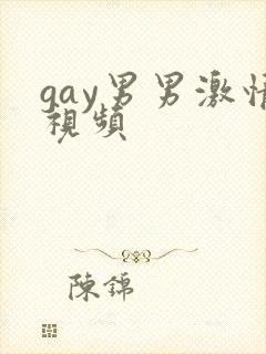 gay男男激情视频