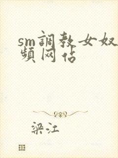 sm调教女奴视频网站