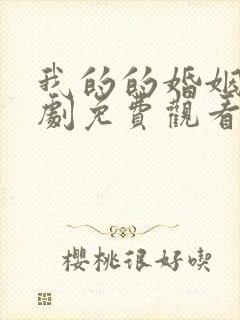 我的的婚姻电视剧免费观看全集高清封面