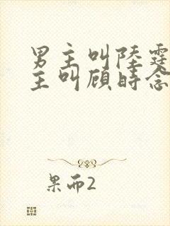男主叫陆霆骁女主叫顾时念的小说