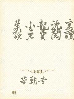 叶小龙沈寒溪小说免费阅读全文无弹窗