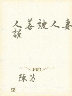 人善被人妻 小说封面