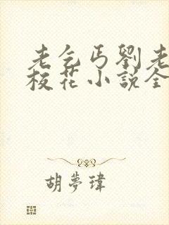 老乞丐刘老汉和校花小说全文