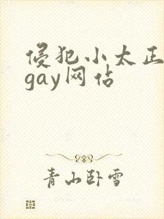 侵犯小太正裸体gay网站