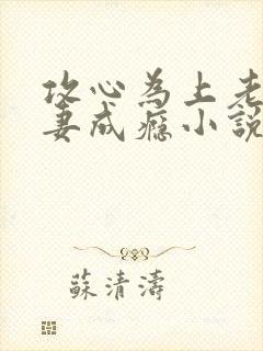 攻心为上老公诱妻成瘾小说