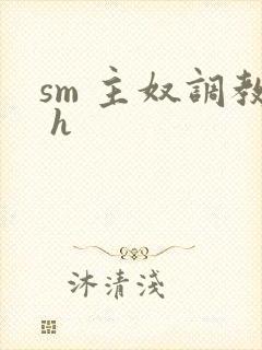 sm 主奴调教 h