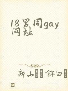 18男同gay网址