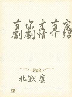 有你才有家电视剧剧情介绍