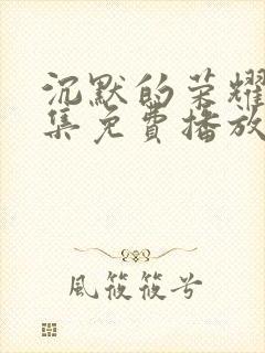 沉默的荣耀40集免费播放网站