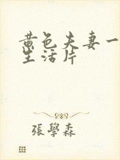 黄色夫妻一级性生活片封面