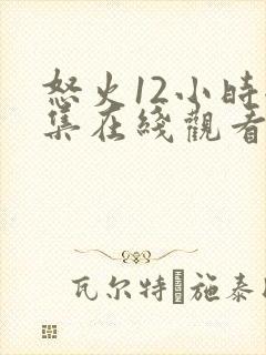 怒火12小时全集在线观看完整版免费