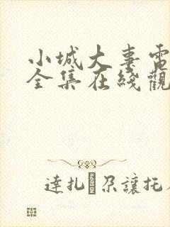 小城大事电视剧全集在线观看免费高清