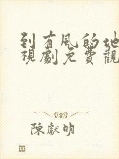 到有风的地方电视剧免费观看完整版