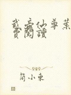 武帝仙尊叶辰免费阅读