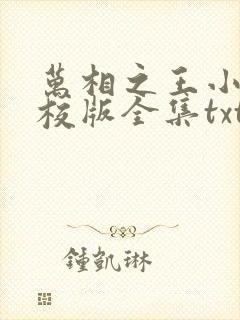 万相之王小说精校版全集txt封面