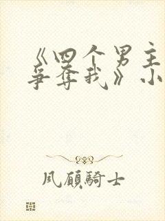 《四个男主都想争夺我》小说