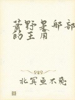 萧野是哪部小说的主角