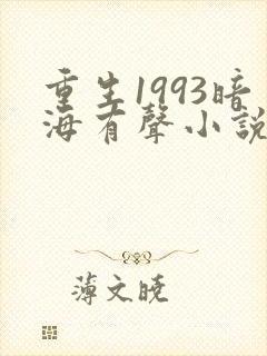 重生1993暗海有声小说在线收听