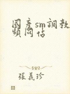 国产sm调教视频网站