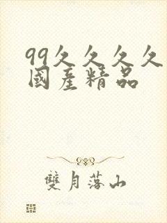 99久久久久久国产精品
