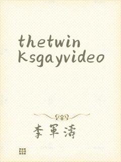 thetwinksgayvideo封面