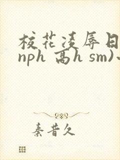 校花凌辱日记(nph 高h sm)小说