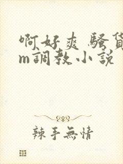 啊好爽 骚货sm调教小说