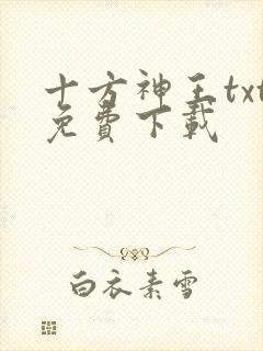 十方神王txt免费下载