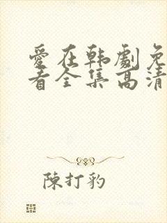 爱在韩剧免费观看全集高清韩剧