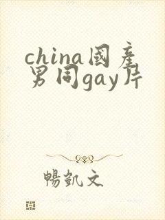 china国产男同gay片
