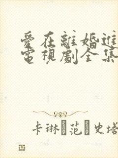 爱在离婚进行时电视剧全集免费观看封面