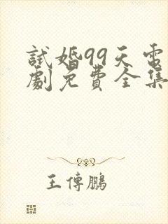 试婚99天电视剧免费全集在线观看封面