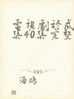 电视剧于成龙全集40集完整版免费观看